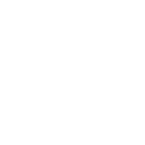 ProGuard Protection 